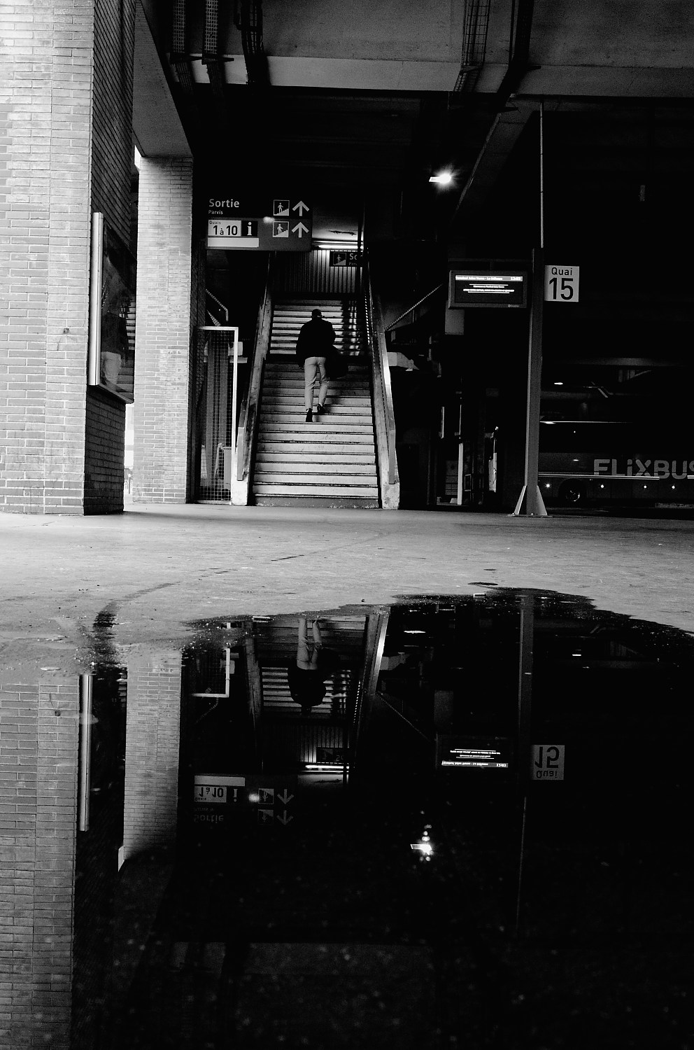 Reflected world