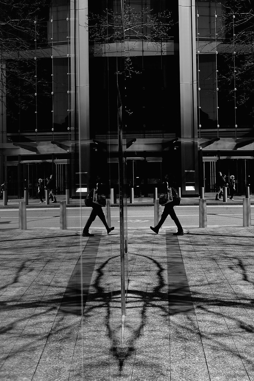 Reflection — closing image