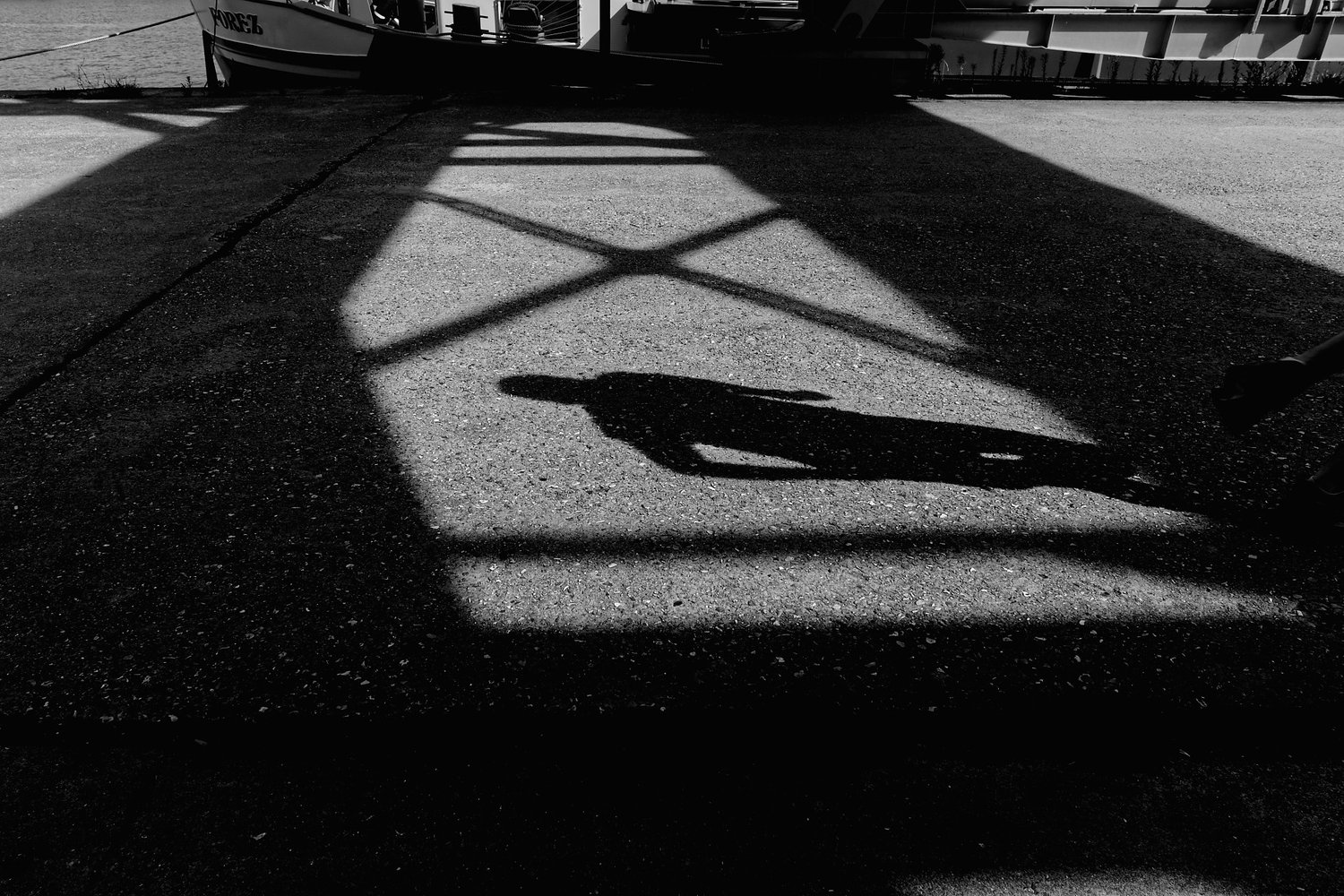 Shadow in a patch of light — Shadows